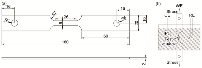 4CD41F95-7F44-4401-9AD2-4EBE069935CA-F004.png