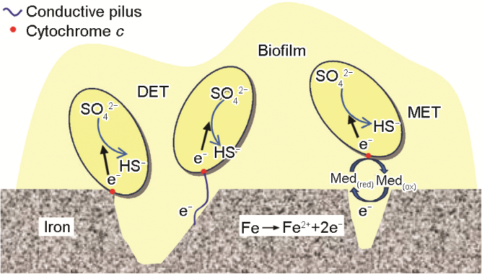 B8EF5EAC-F3DD-489b-AB56-ABE9D05F4855-F001.png