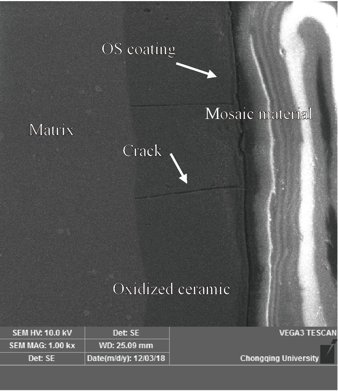 image3.jpg