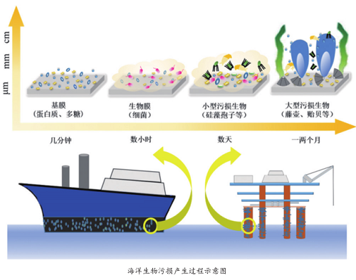 图片22