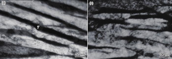 51fcae34-39c7-4d5b-adf4-6917073a4c01-F004.jpg