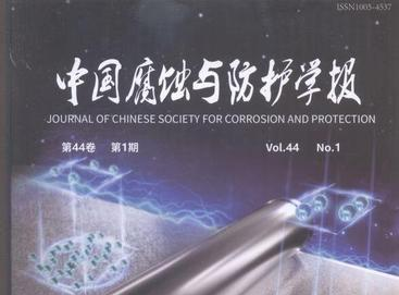 【青年编委】《中国腐蚀与防护学报》2025年新增青年编委简介（六）