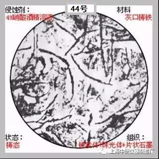 640?wx_fmt=jpeg&tp=webp&wxfrom=5&wx_lazy=1&wx_co=1.jpg