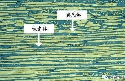 影响奥氏体形成的因素