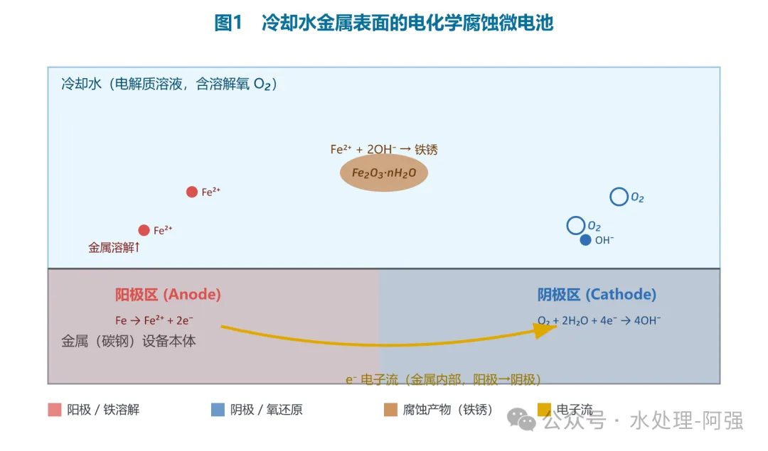 循环水里的