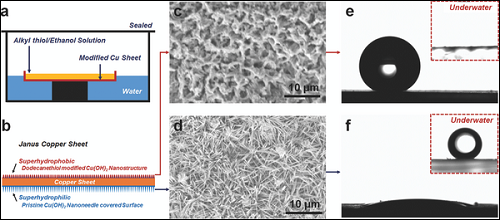 adfm201701466-fig-0002