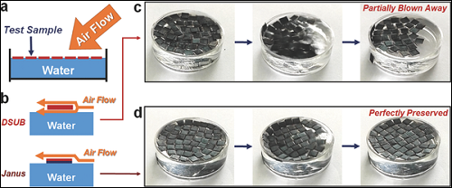 adfm201701466-fig-0005