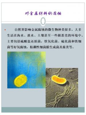 幻灯片7