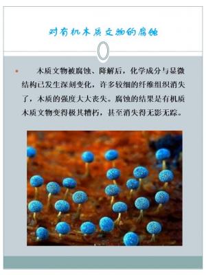 幻灯片11