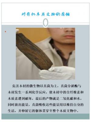 幻灯片10