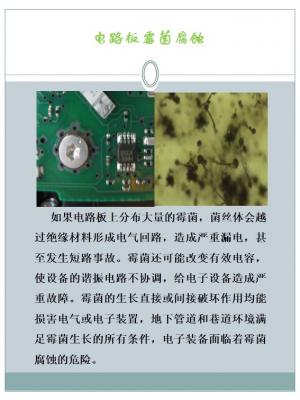 幻灯片5