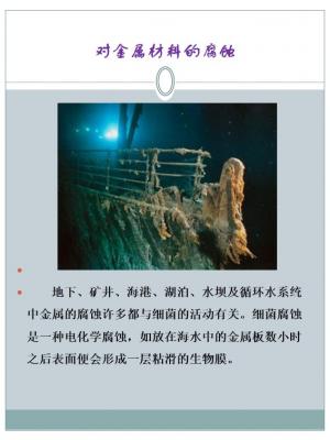 幻灯片8