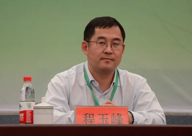 程玉峰 教授